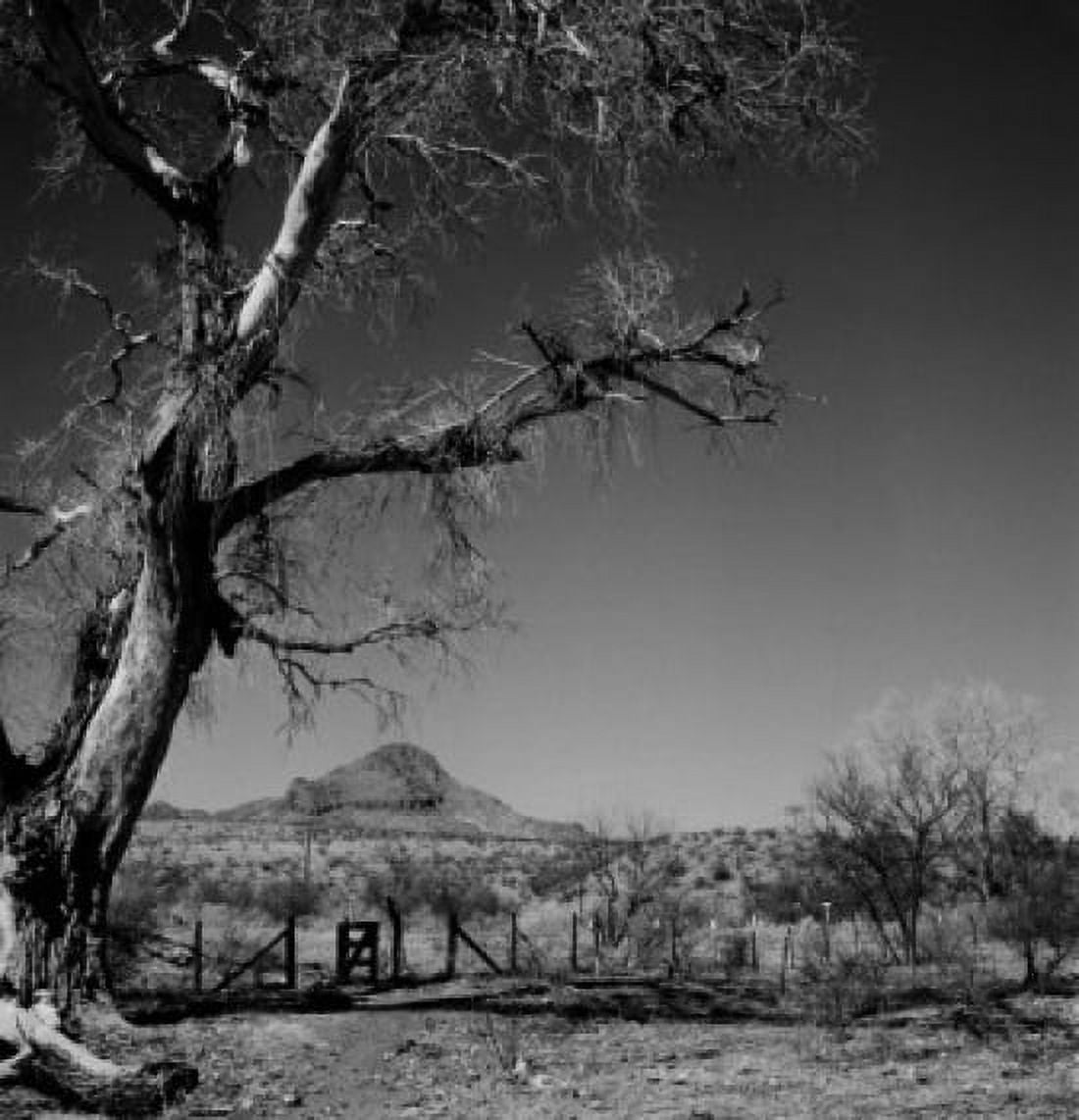 USA Arizona Ranch country and trees near Nogales Canvas Art - (24 x 36)