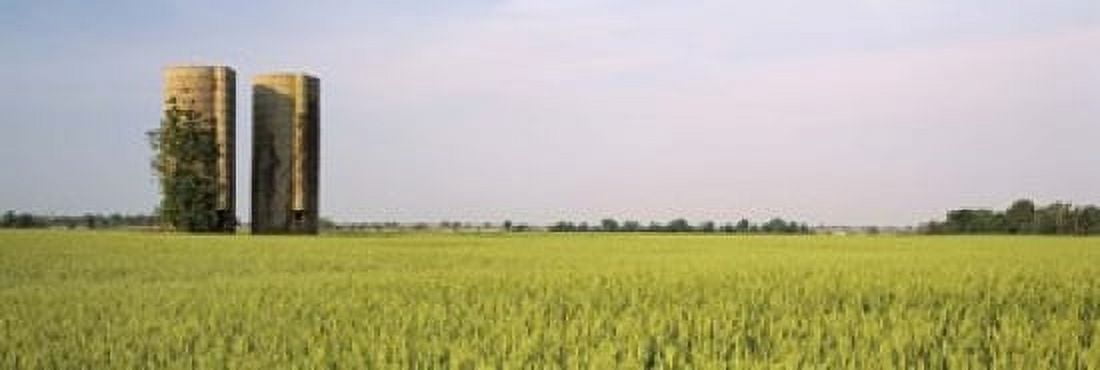 USA Arkansas View of grain silos in a field Canvas Art - Panoramic Images (18 x 6)