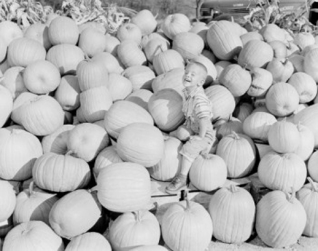 USA Boy sitting on pumpkin harvest Canvas Art - (18 x 24)