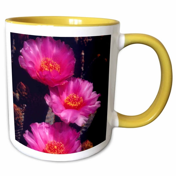 USA, California, Anza-Borrego Desert SP. Beavertail Cactus Flowers. 15oz Two-Tone Yellow Mug mug-209985-13