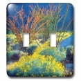 thumbnail image 1 of 3dRose, USA, California, Anza-Borrego Desert State Park. Blooming Ocotillo., double toggle switch, 1 of 1