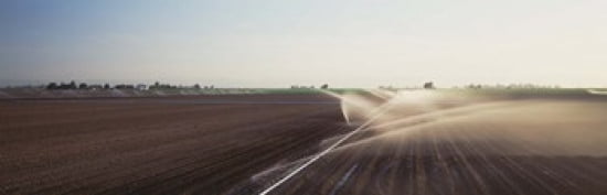 USA California Central Valley Irrigation in the field Canvas Art - Panoramic Images (36 x 12)