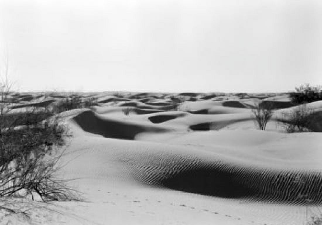 USA California Death Valley sand dunes Canvas Art - (24 x 36)