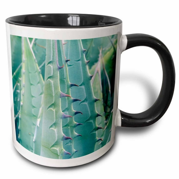USA, California, Jacumba. Patterns of an Agave plant. 15oz Two-Tone Black Mug mug-208428-9