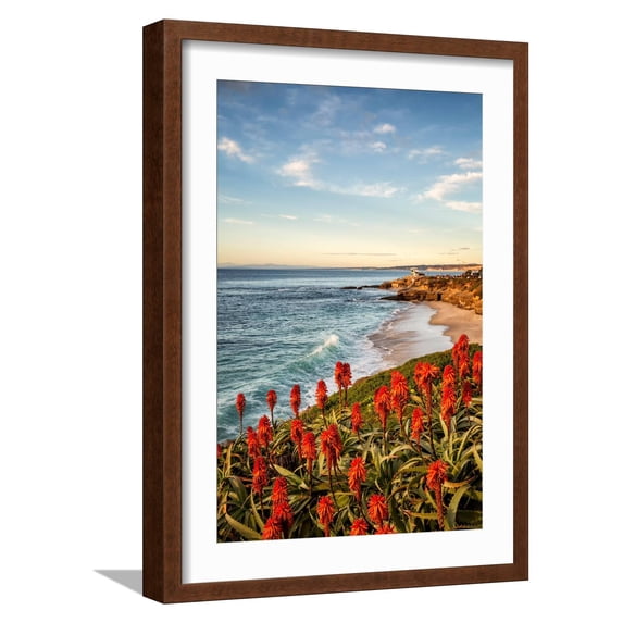 Art.com USA, California, La Jolla. Blooming aloe and Wipeout Beach Photographic Print by Ann Collins, Brown Frame Wall Art, 17" x 23"
