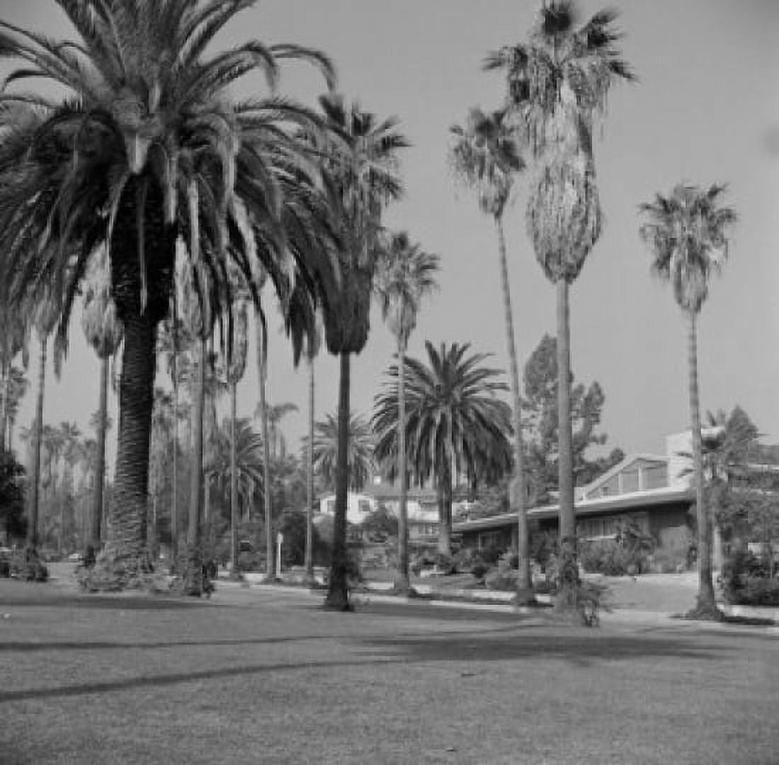 USA California Los Angeles Beverly Hills Street scene Canvas Art - (18 x 24)