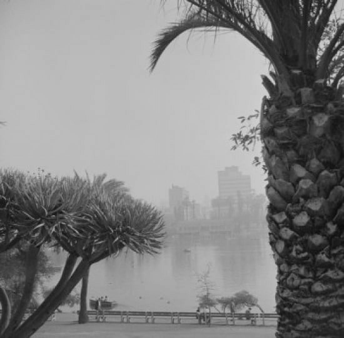 USA California Los Angeles Douglas MacArthur Park on Wilshire Boulevard with hotels in background Canvas Art - (24 x 36)