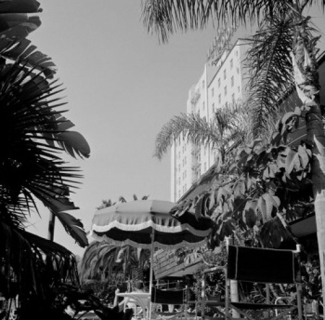 USA California Los Angeles Hollywood pool at Hollywood Roosevelt Canvas Art - (18 x 24)