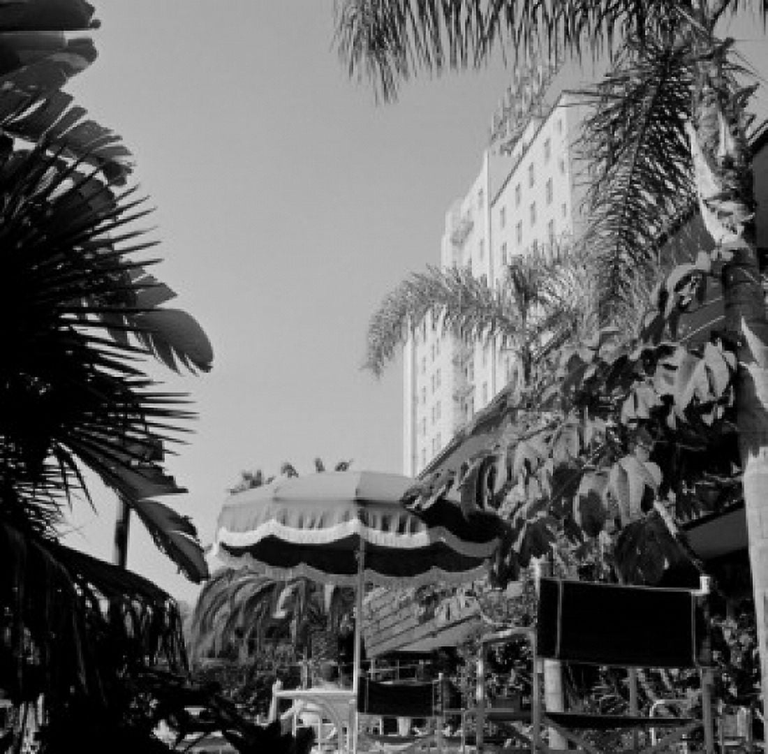 USA California Los Angeles Hollywood pool at Hollywood Roosevelt Canvas Art - (24 x 36)