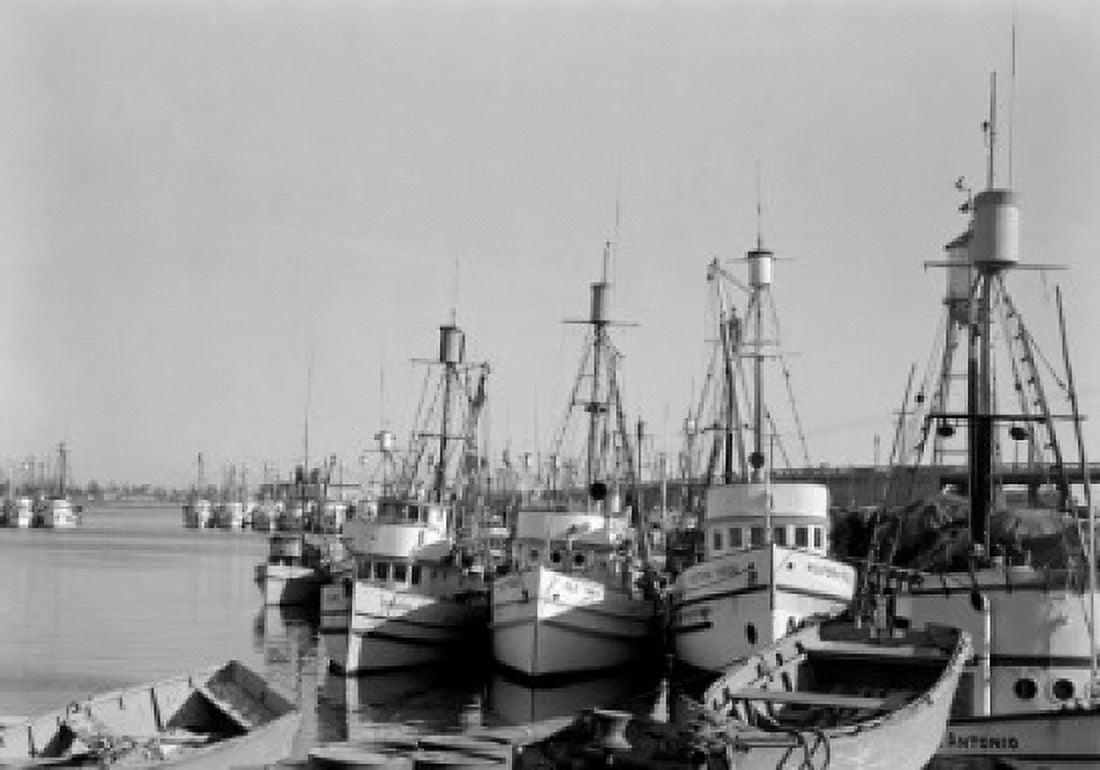 USA California Los Angeles Los Angeles Harbor fishing fleet Canvas Art - (24 x 36)