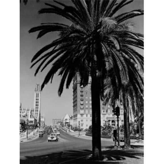 USA California Los Angeles Wilshire Boulevard Shopping District Poster Print - 18 x 24 in.