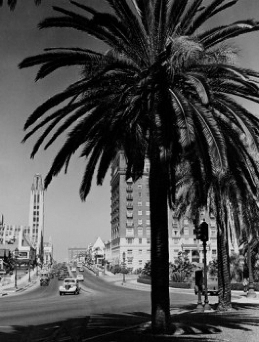 USA California Los Angeles Wilshire Boulevard shopping district Canvas Art - (24 x 36)