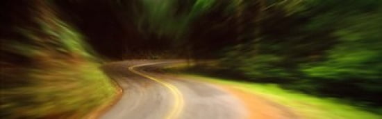 USA California Marin County road Canvas Art - Panoramic Images (36 x 12)