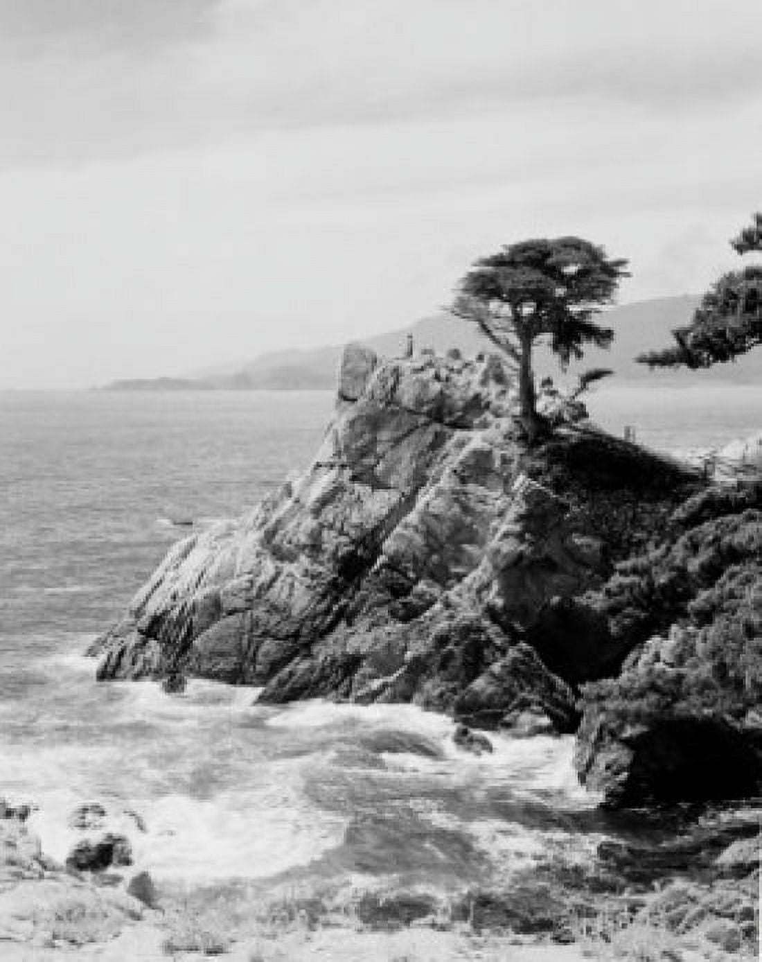 USA California Monterey Midway point Canvas Art - (18 x 24)