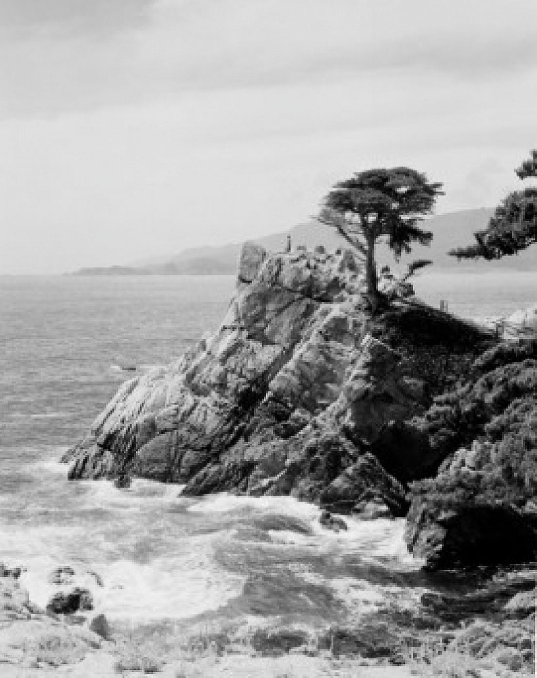 USA California Monterey Midway point Canvas Art - (24 x 36)