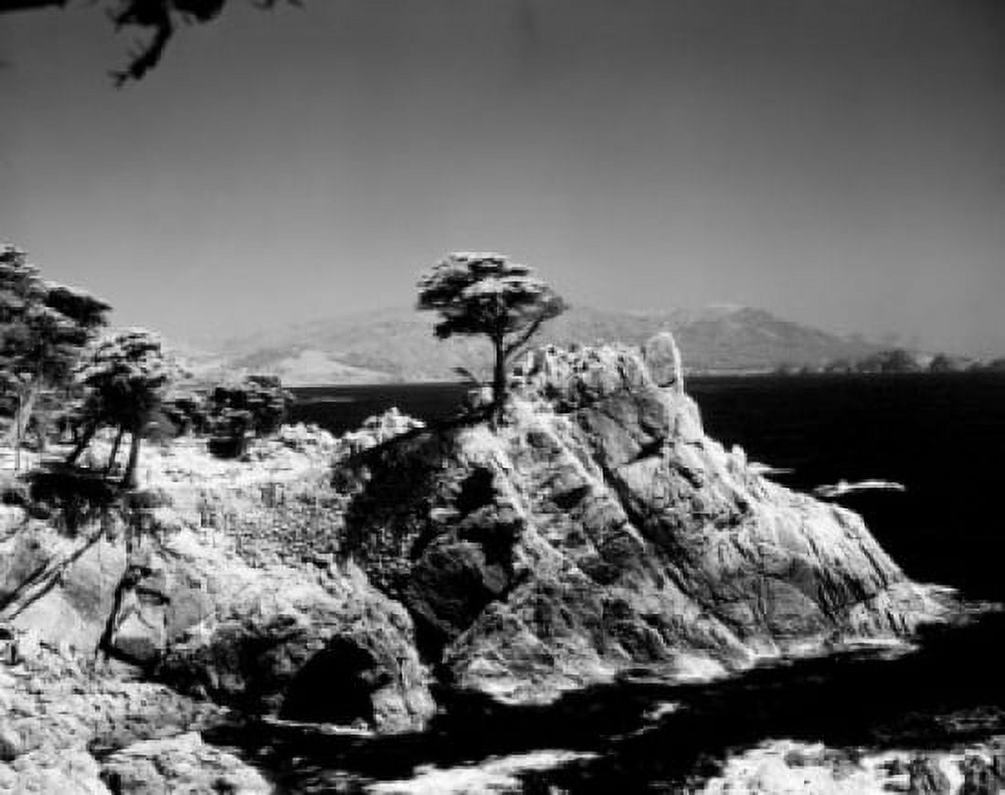 USA California Monterey Scenic landscape Canvas Art - (18 x 24)
