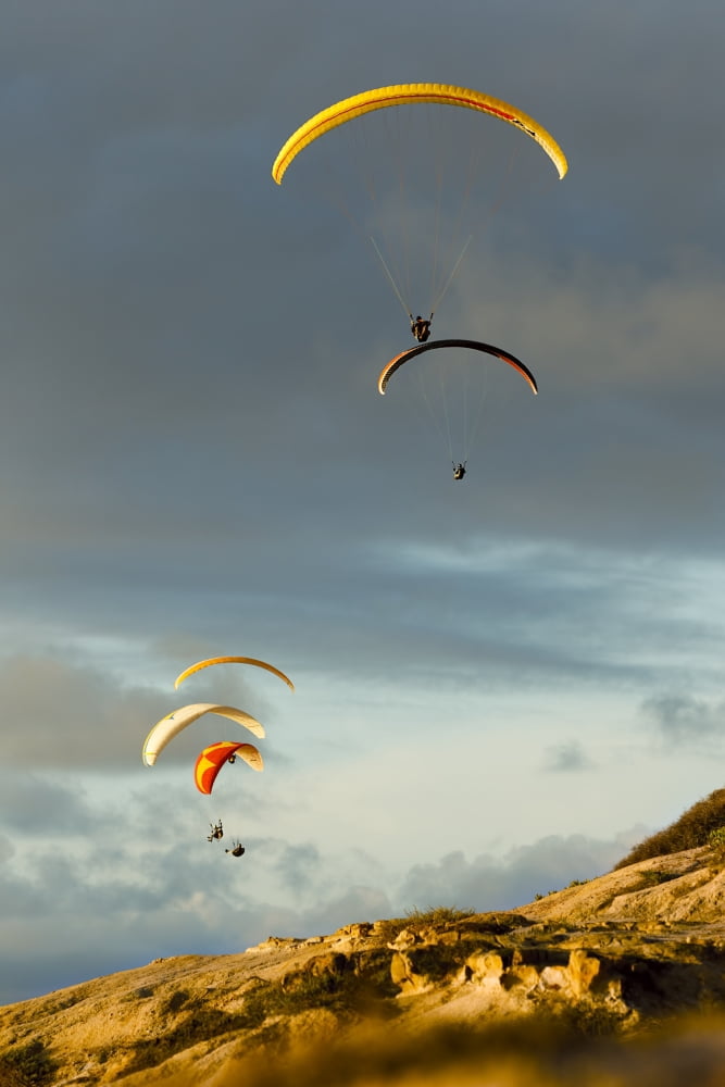 USA California Paragliders Flying Over Coast La Jolla Canvas Art - MakenaStockMedia Design Pics (22 x 34)