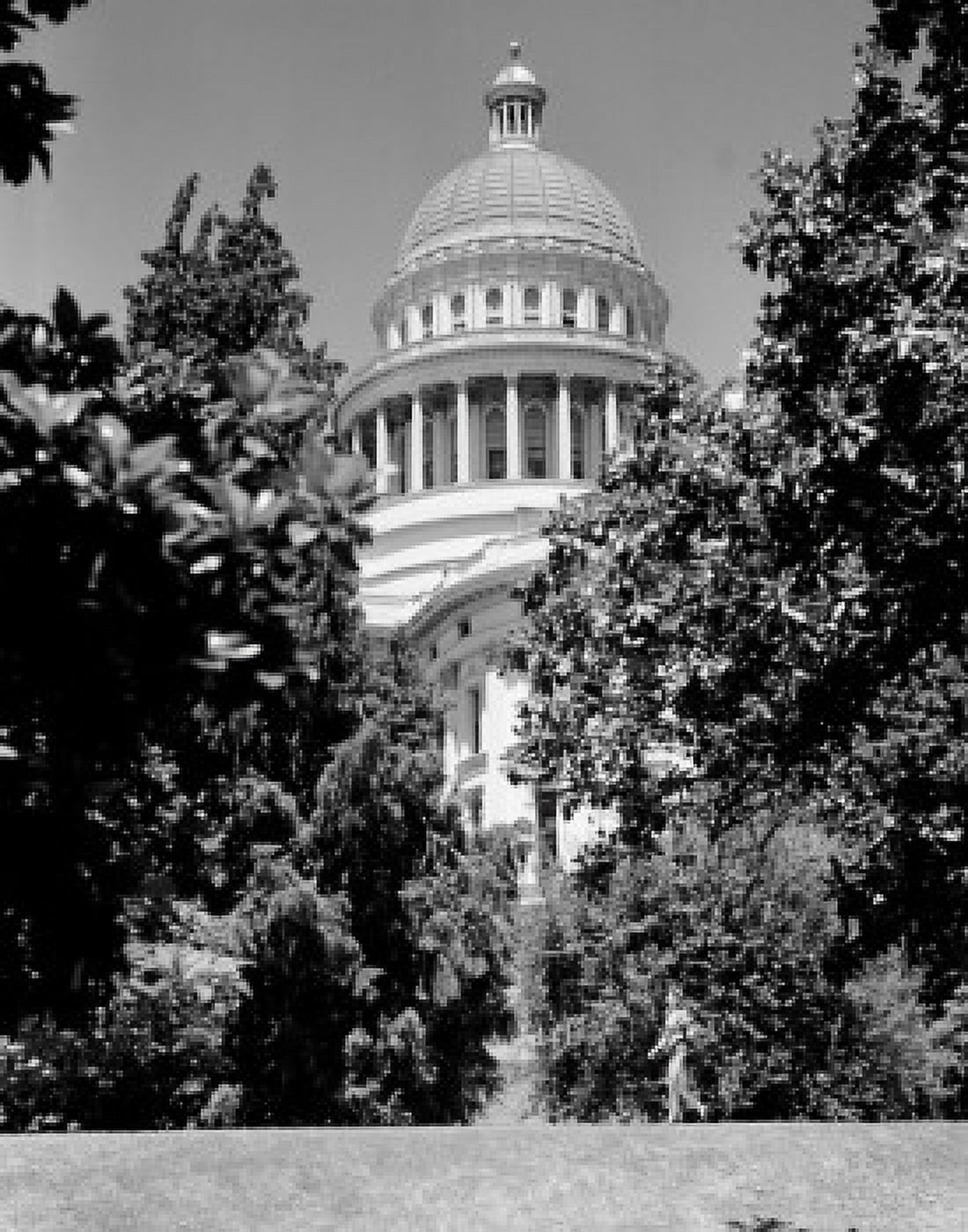 USA California Sacramento Capitol Park State Capitol Building Canvas Art - (24 x 36)
