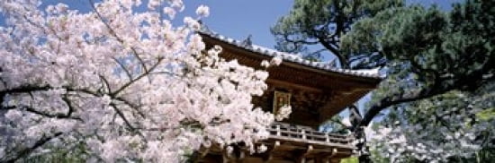 USA California San Francisco Golden Gate Park Japanese Tea Garden front gate Canvas Art - Panoramic Images (36 x 12)