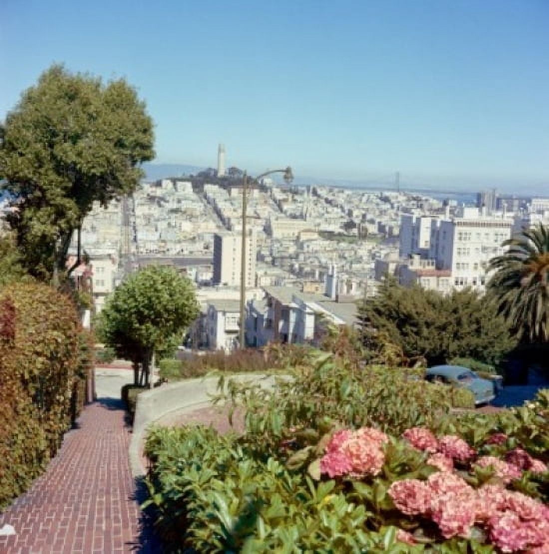 USA California San Francisco View of Coit Tower from top of Lumbar Street Canvas Art - (24 x 36)