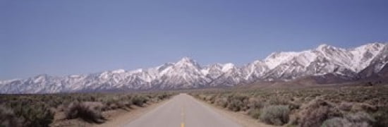 USA California Sierra Nevada Bushes on both sides of a road Canvas Art - Panoramic Images (36 x 12)