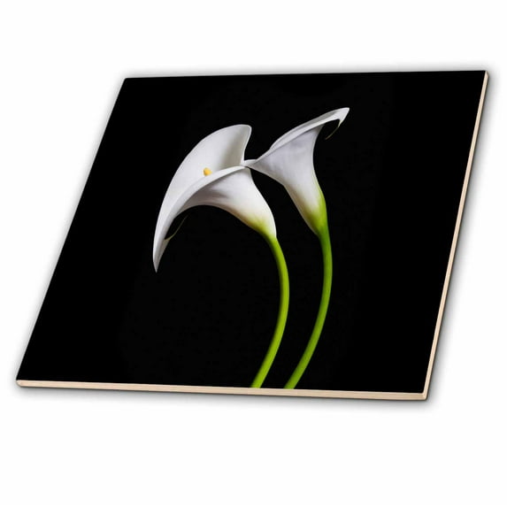 3dRose, USA, California. Two calla lily flowers., 8 Inch Ceramic Tile