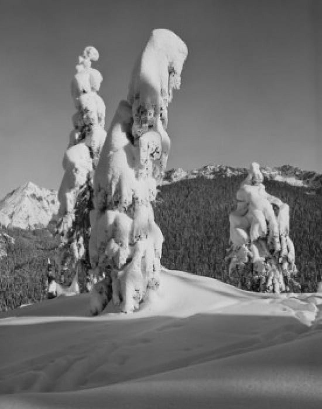 USA Cascade Mountains Snoqualmie Summit 50 miles East of Seattle Canvas Art -  (18 x 24)