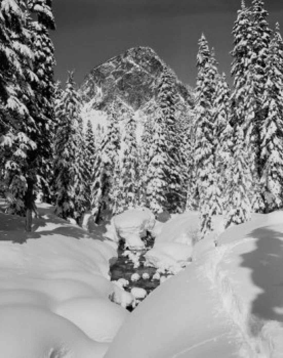 USA Cascade Mountains stream after heavy snow fall Canvas Art - (18 x 24)