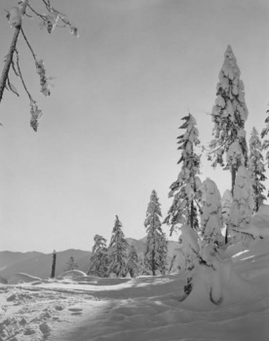 USA Cascade Mountains winter scene Canvas Art - (18 x 24)