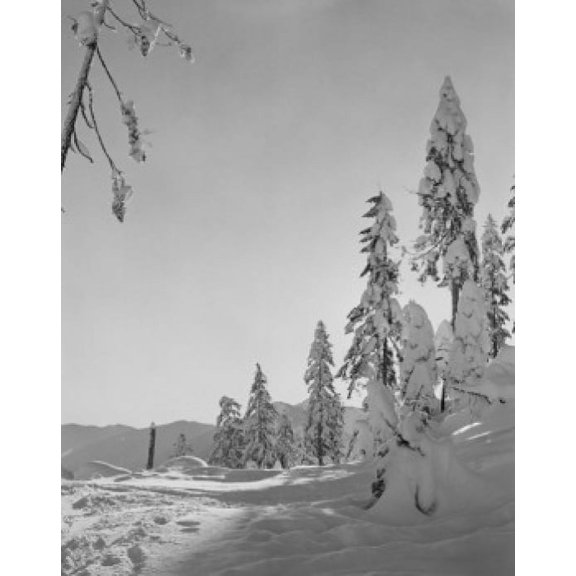 USA Cascade Mountains winter scene Canvas Art - (18 x 24)