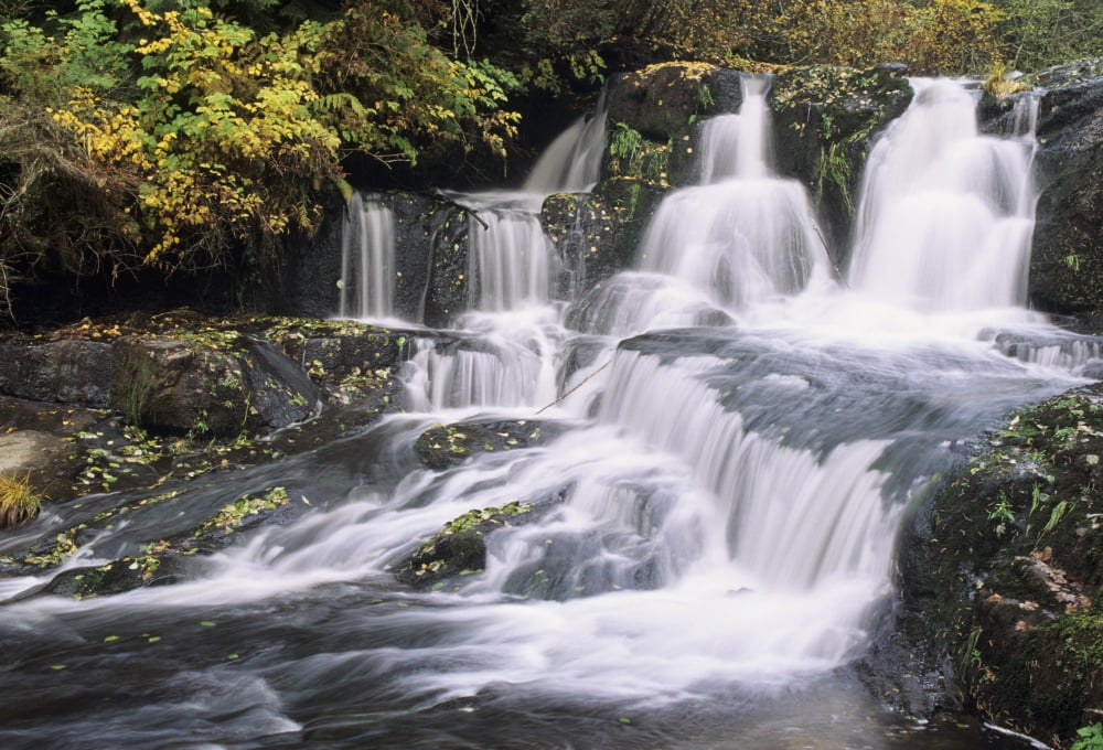 USA Coast Range Mountains Oregon Alsea Falls Cascading Through Forest Canvas Art - Greg Vaughn Design Pics (17 x 11)