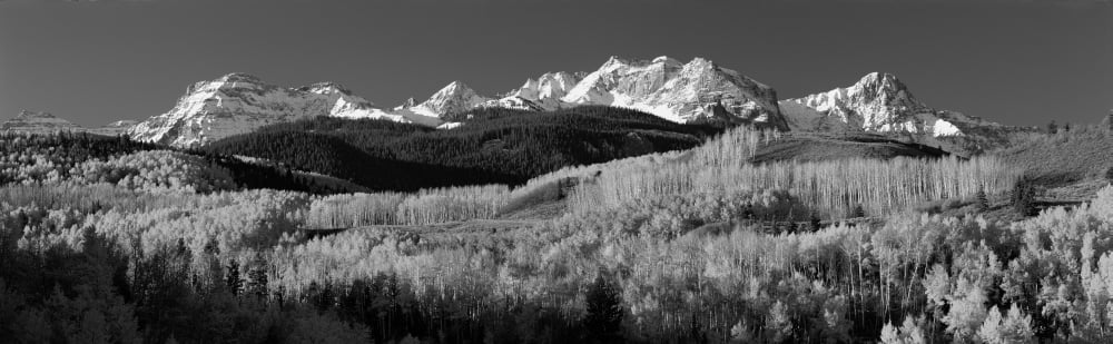 USA Colorado Rocky Mountains aspens autumn Canvas Art - Panoramic Images (12 x 38)