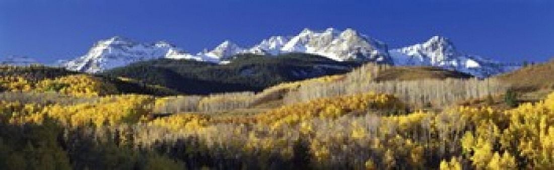 USA Colorado Rocky Mountains aspens autumn Canvas Art - Panoramic Images (15 x 5)