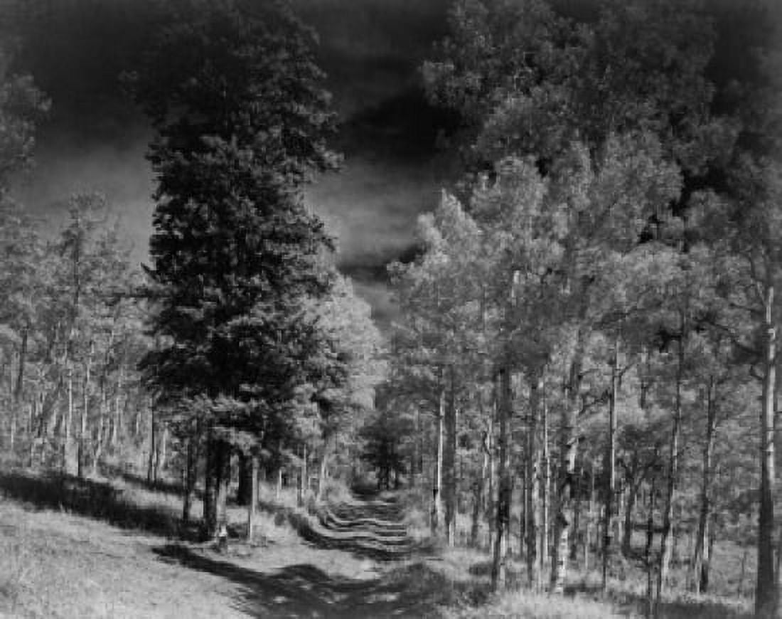 USA Colorado Rocky Mountains landscape Canvas Art - (18 x 24)