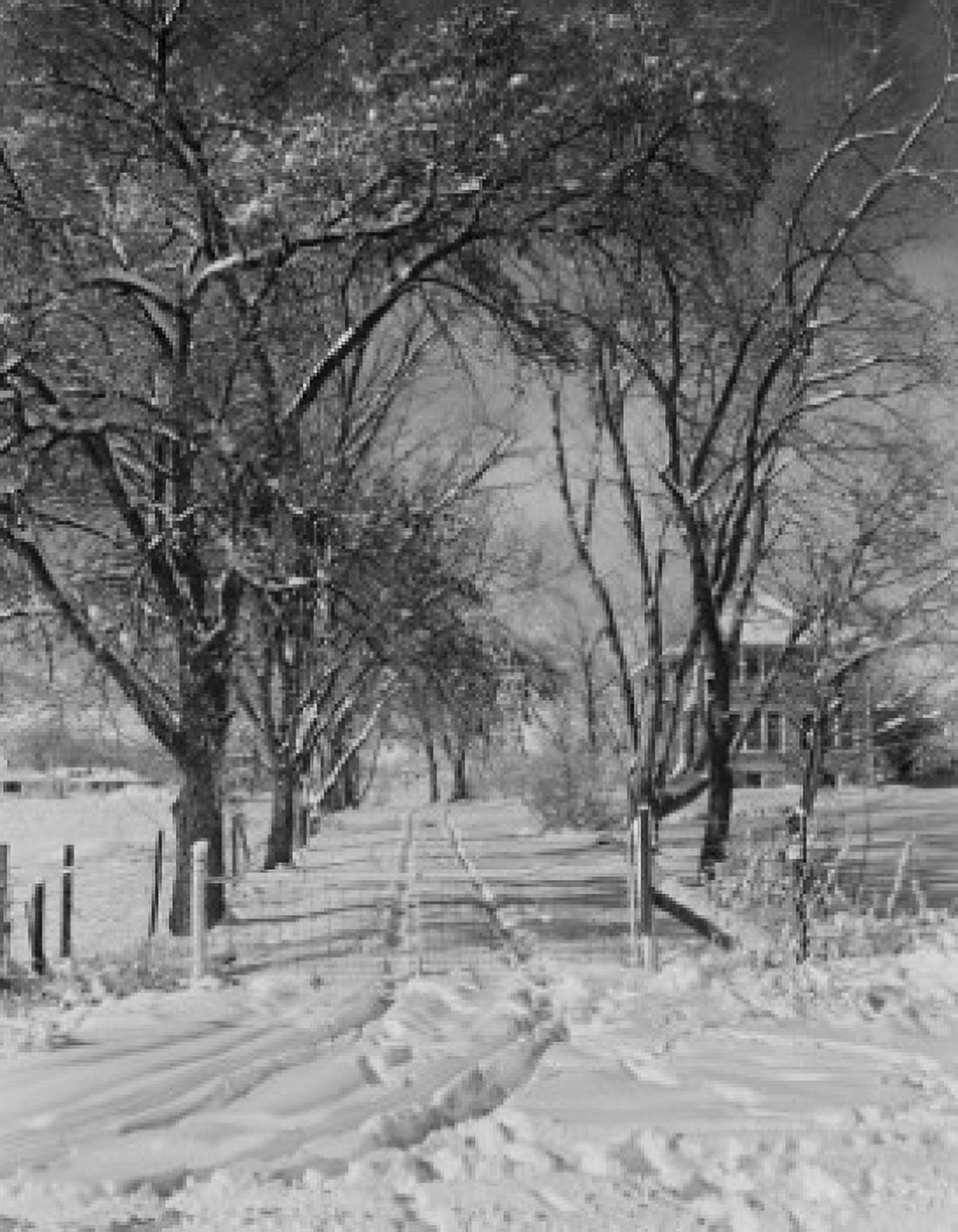 USA Colorado Winter road scene Canvas Art - (18 x 24)