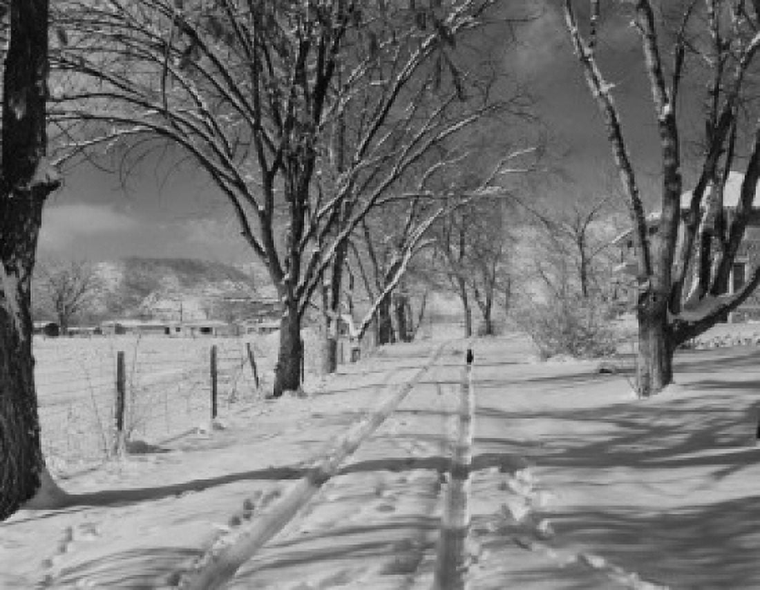 USA Colorado Winter road scene Canvas Art - (24 x 36)