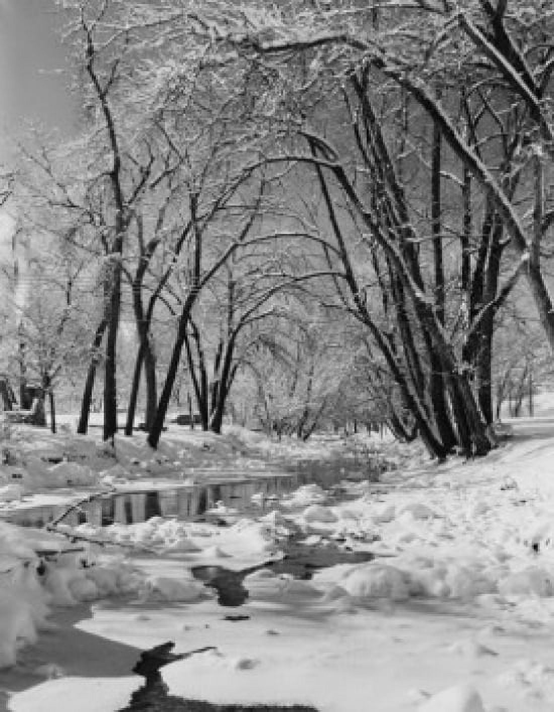 USA Colorado Winter stream Canvas Art - (18 x 24)