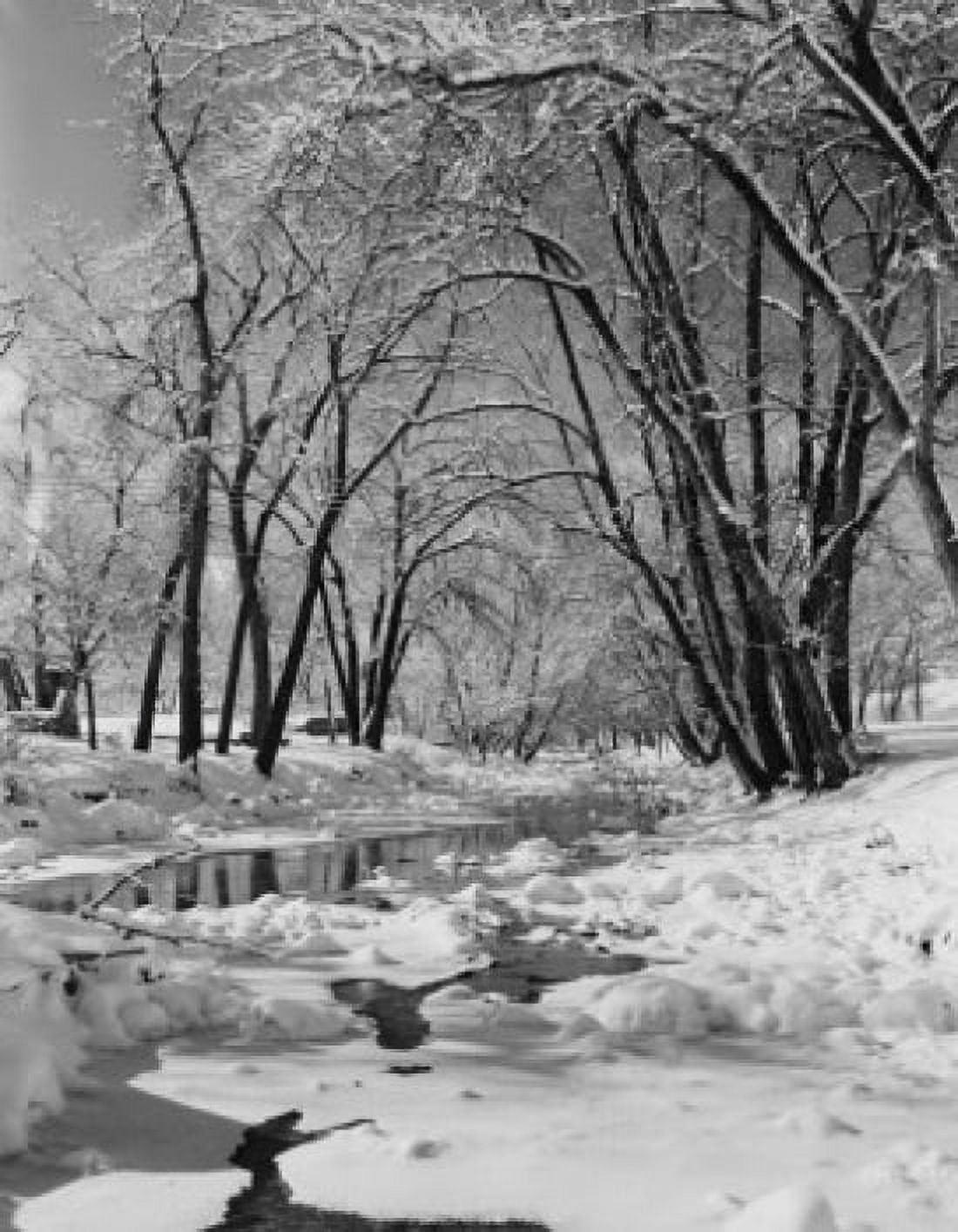 USA Colorado Winter stream Canvas Art - (24 x 36)