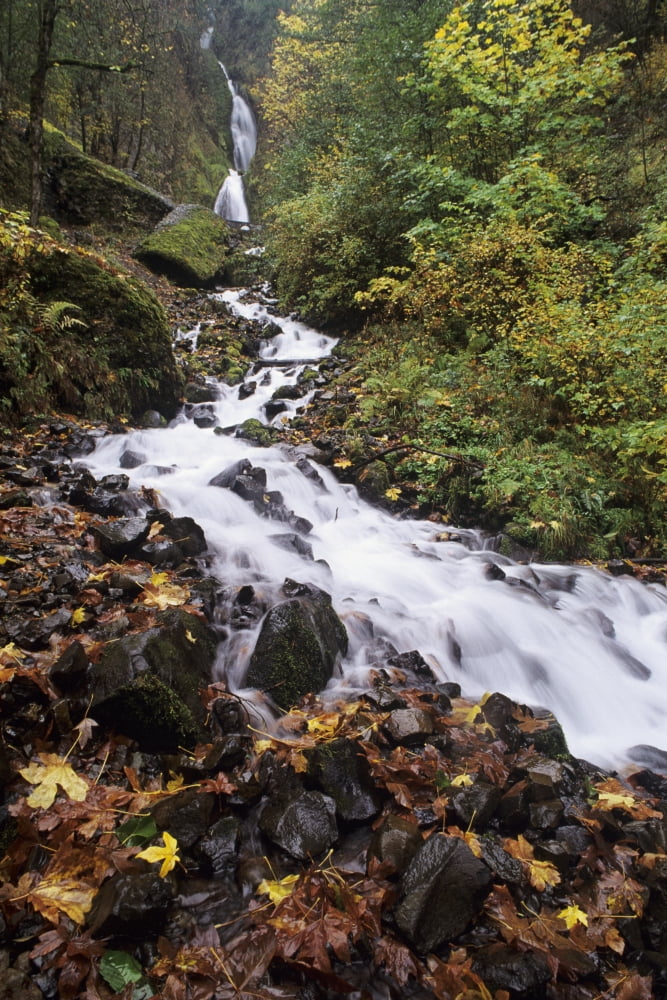 USA Columbia River Gorge Oregon Wahkeena Falls Cascading Through Forest Canvas Art - Greg Vaughn Design Pics (22 x 34)