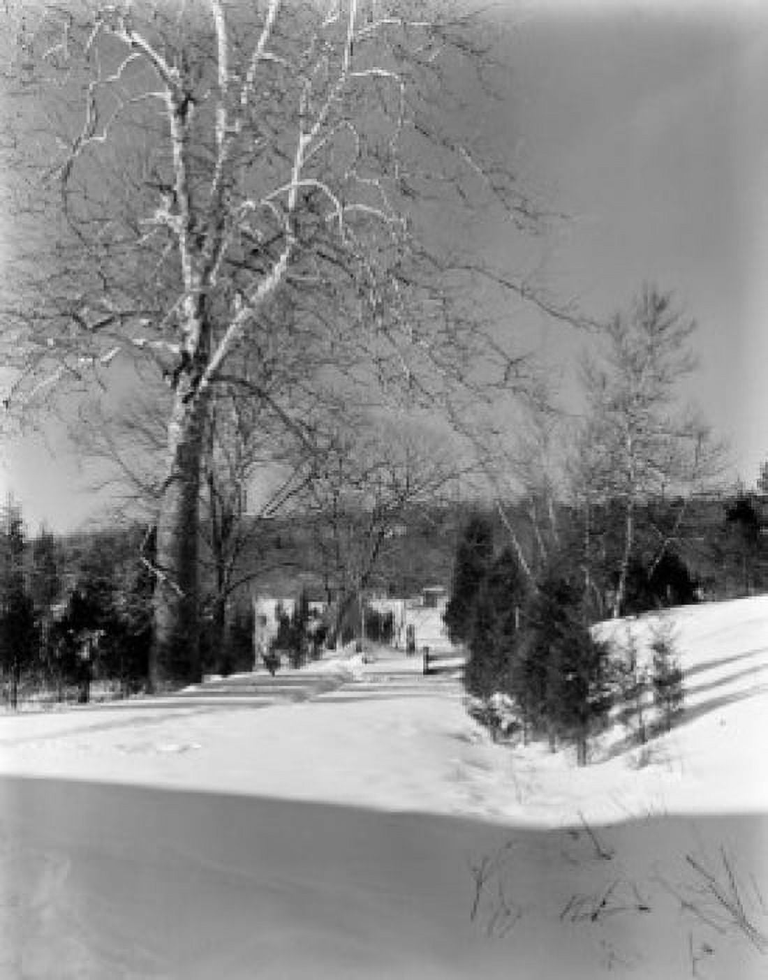 USA Connecticut Bloomfield rural scene in winter Canvas Art - (24 x 36)