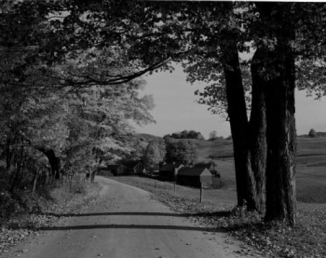 USA Connecticut Woodstock Empty country road Canvas Art - (24 x 36)