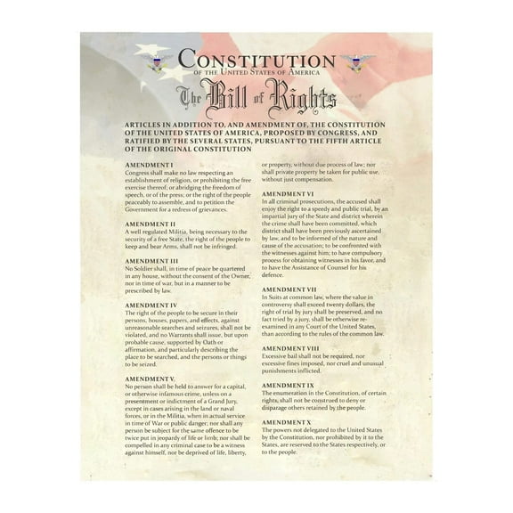 USA Constitution & Bill of Rights - Patriotic Wall Art Print American Flag Wall Art Decor for Home, Office, School or Man Cave Decor - 4th Of July