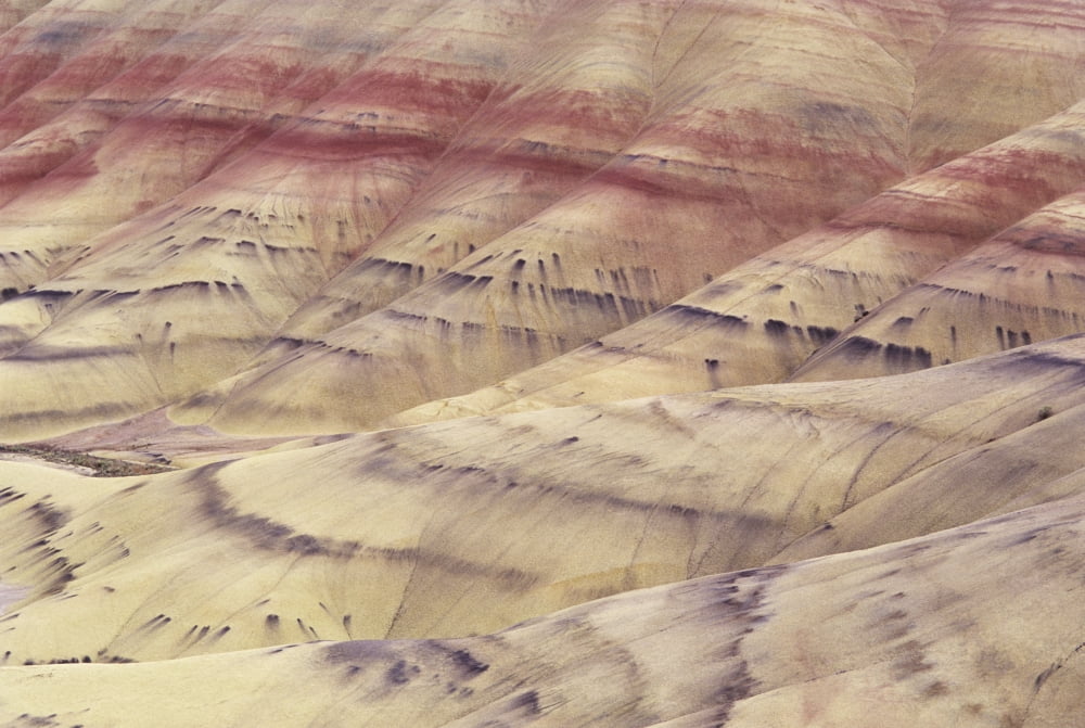 USA Detail Of Colorful Patterns In Hill Ridges Oregon Painted Hills Area John Day Fossil Beds National Monument Canvas Art - Greg Vaughn Design Pics (17 x 11)