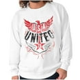 thumbnail image 1 of USA Distressed Eagle Logo Patriotic Unisex Plus Fleece Graphic Sweatshirt Brisco Brands 2X, 1 of 6