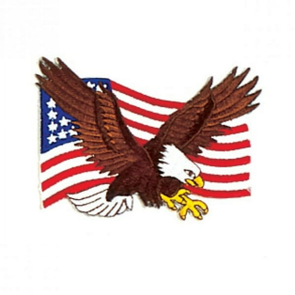 USA Eagle Flag Martial Arts Uniform Patch, 3.5"