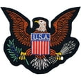 thumbnail image 1 of USA Eagle Logo Patch 3", 1 of 1