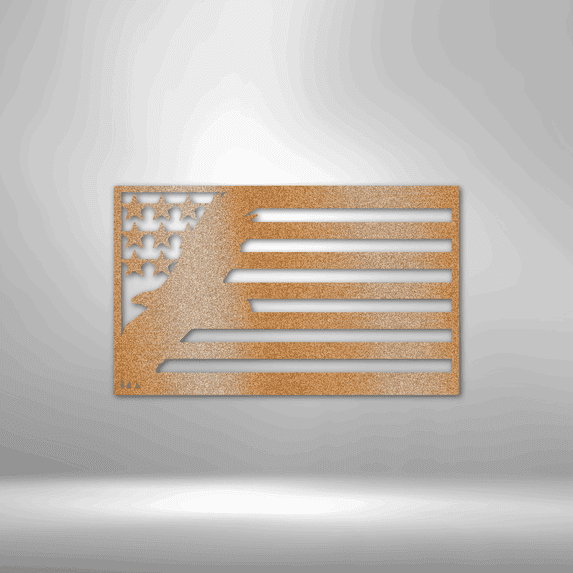 USA Eagle Steel Sign Laser Cut Powder Coated Home & Office Metal Wall Decor Multiple Sizes & Colors