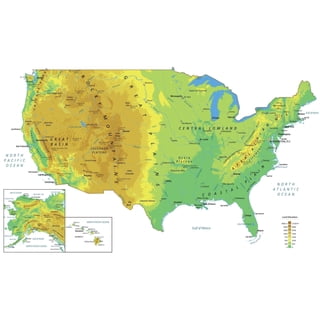 Us Maps United States Elevation US Topo Terrain Relief Vector Map 01