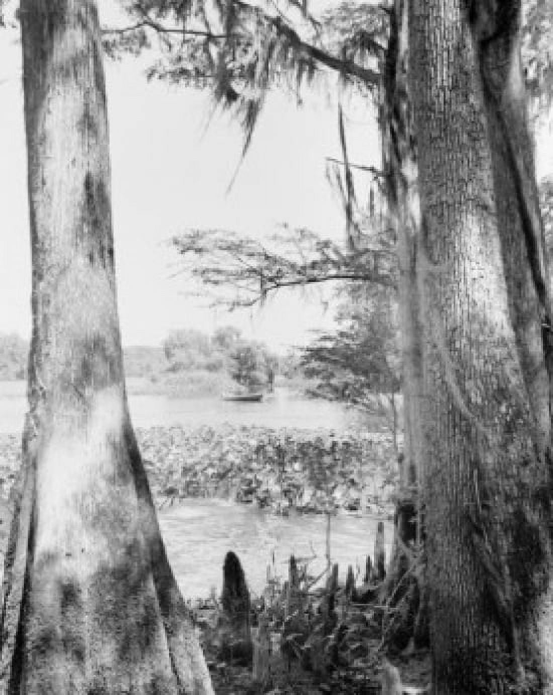 USA Fishing on Suwannee River Canvas Art - (24 x 36)