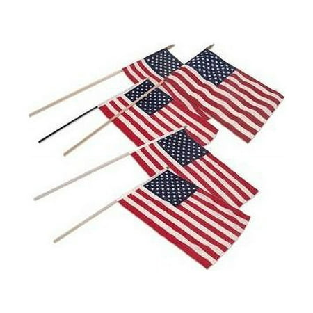USA Flag 12" X 18" with Pole
